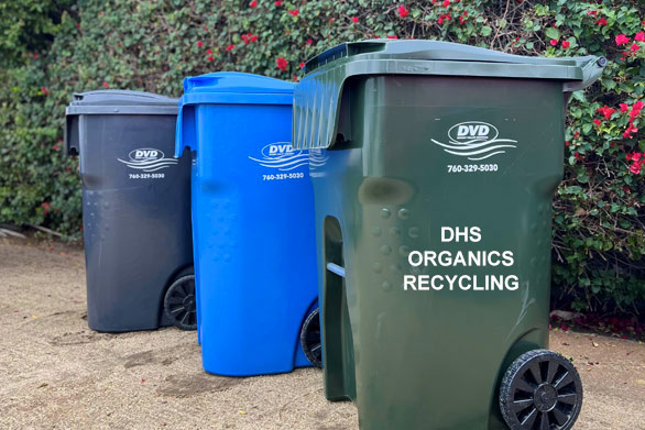residential trash and recycling carts