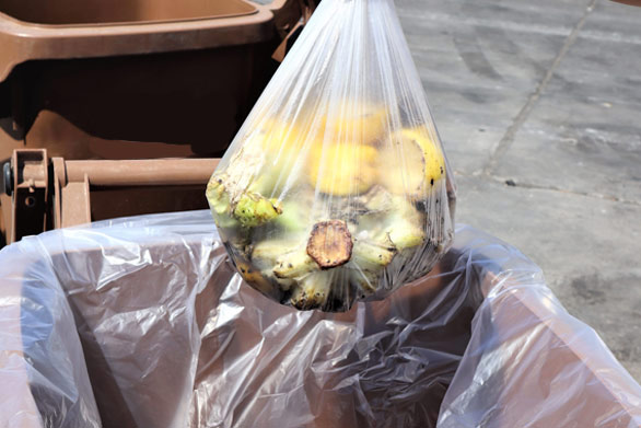 food waste recycling carts